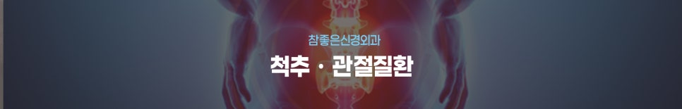 척추 · 관절질환 진료분야