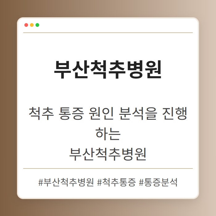 척추 통증 원인 분석을 진행하는 부산척추병원